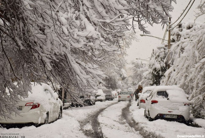 تصاویری از بارش برف در تهران | ردای سپید زمستان بر تن پایتخت ...
