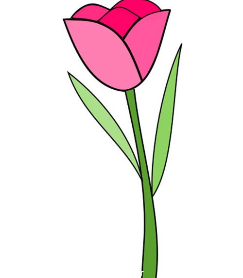 مجموعه عکس نقاشی گل لاله کودکانه (جدید)