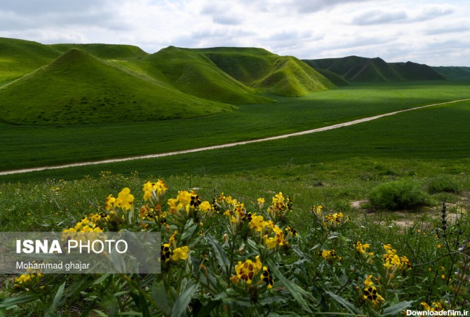 آخرین خبر | عکس/ طبیعت بکر و زیبای ترکمن صحرا