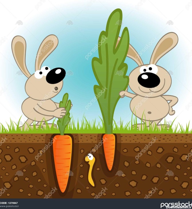 هویج بزرگ و کوچک برای خرگوش های صحرایی تصویر بردار 1279947