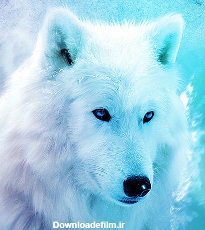 یخ گرگ زندگی می کنند تصویر زمی - برنامه‌ها در Google Play