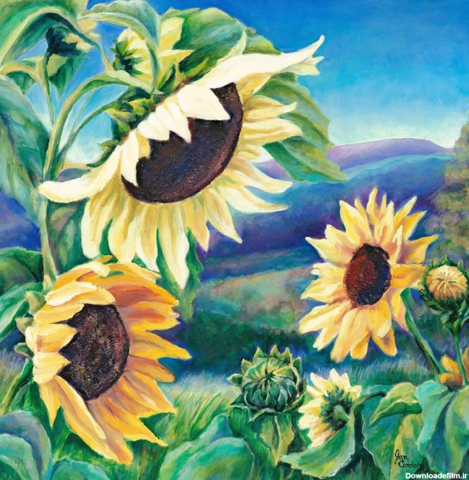 نقاشی ببینیم: گل آفتابگردان :: گروه هنری ونوس