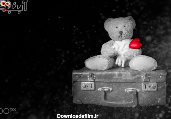 کلکسیونی عکس خرس عروسکی بزرگ + عاشقانه + فانتزی❤️+ ویدیو