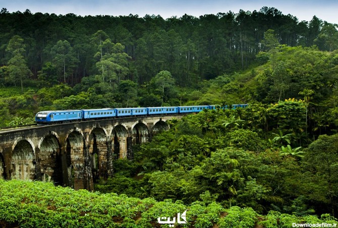 قطار معروف سریلانکا | همه چیز در مورد معروف ترین جاذبه سریلانکا | کایت