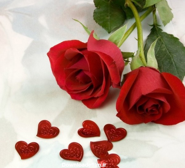 عکس گل های عاشقانه زیبا و رمانتیک و بسیار جذاب
