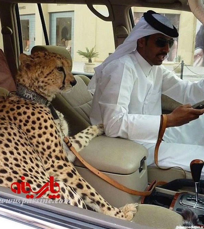 عکس: تفریح عجیب مرد عرب!