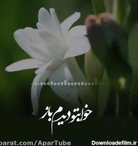 رضا بهرام _ آهنگ زیبای ای گل مریم خوابتو دیدم باز