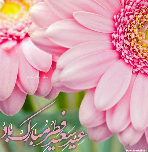 عکس تبریک عید فطر جدید با متن زیبا و رسمی