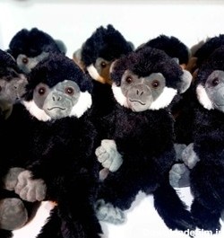 خرید و قیمت عروسک میمون عنکبوتی سایز 25 سانتیمتر | ترب