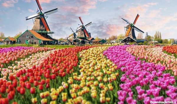 عکسهای طبیعت زیبای هلند