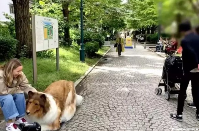 مرد ژاپنی که لباس سگ می‌پوشید، شاکی شده که چرا سگ‌ها با او بازی نمی‌کنند/ عکس