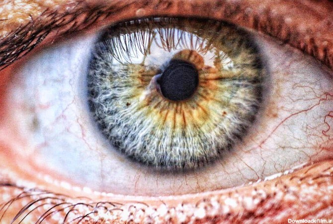 تصویر زیبا ترین چشم دنیا | طرفداری