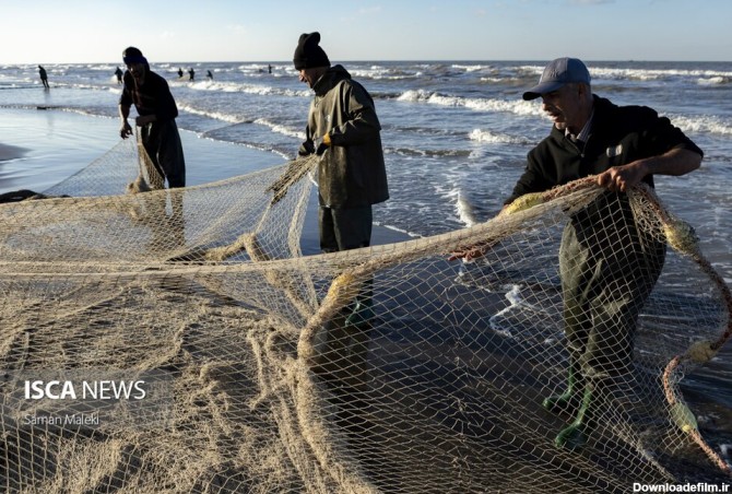 فرارو | (تصاویر) ماهیگیری در سواحل مازندران