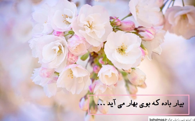 Index of /images/عکس_بهار_و_عید_نوروز/