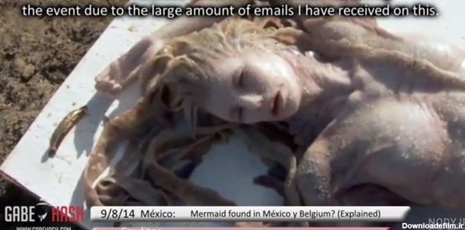 عکس پری دریایی واقعی زنده زیبا در باغ وحش ۱۴۰۰ - عکس نودی