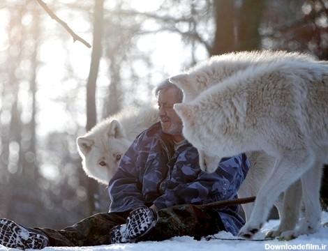 این مرد سال هاست با گرگ ها زندگی می کند (عکس)