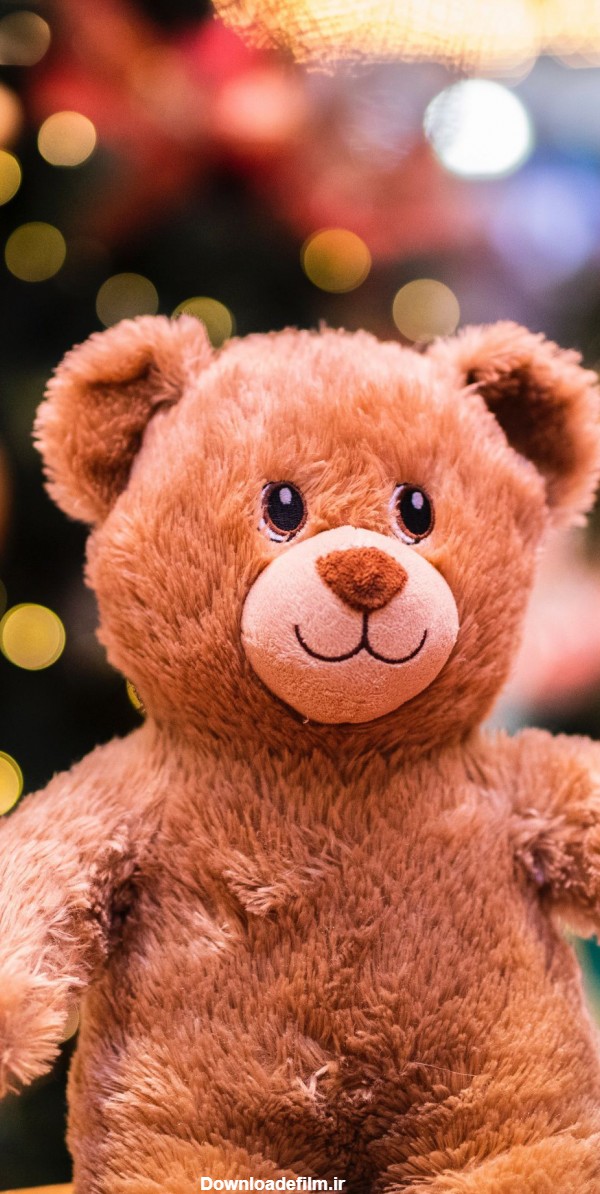 والپیپر کیوت بچه خرس تدی برای موبایل - والپیپر و بک گراند