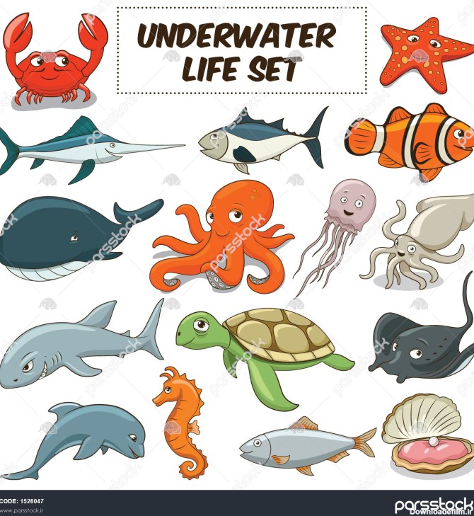 عکس حیوانات در زیر آب