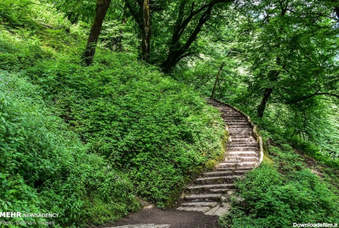 Mehr News Agency - Gilan, a paradise in northern Iran