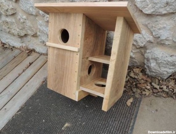 نگهداری از سنجاب در منزل ایجاد یک آشیانه یا خانه کوچک در داخل قفس