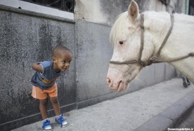 عکس جالب کودک با اسب