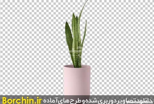 Borchin-ir-plant pot flower pot free PNG image01_png عکس بدون زمینه گلدان گل زیبا۲
