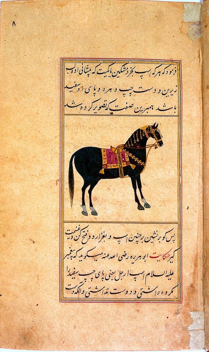Folio 7 recto, Persian manuscript, book on the horse: on the ...