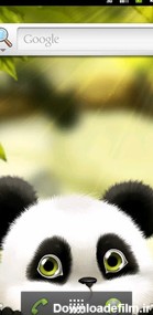 Panda Chub Live Wallpaper Free for Android - Download | Bazaar