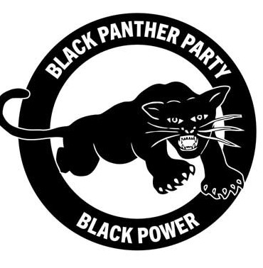 یک حزب سیاسی منحل شده نیز به نام پلنگ سیاه وجود داشته!