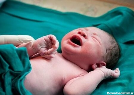 سنگین وزن ترین نوزاد ایران متولد شد +عکس - مشرق نیوز
