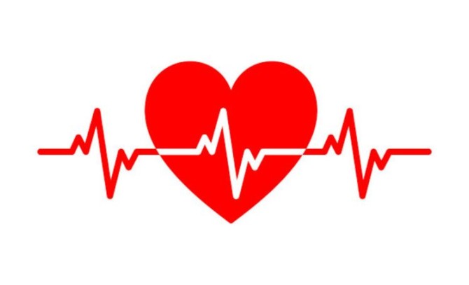 درمان تپش قلب با داروی گیاهی + دلایل تپش قلب