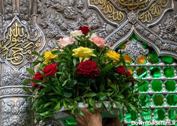 شستشو و گل‌آرایی حرمین کربلای معلی / گزارش تصویری