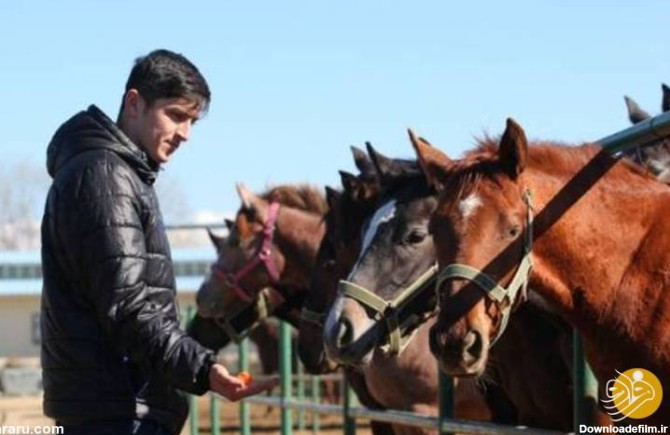 فرارو | (عکس) اسب جدید و میلیاردی سردار آزمون + جزئیات