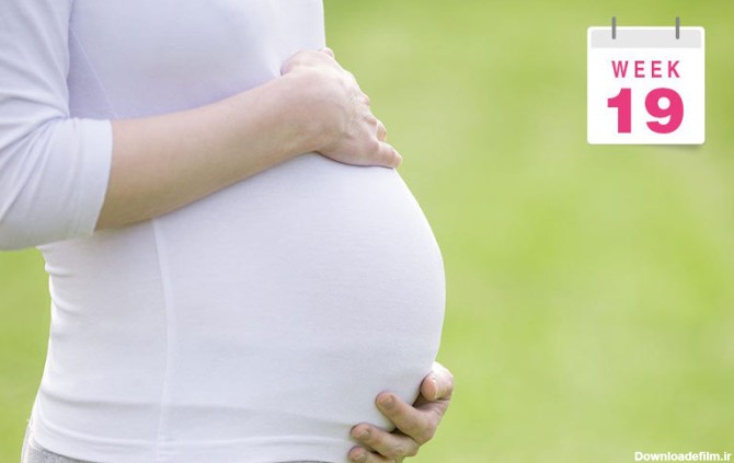 در هفته نوزدهم بارداری شکم بزرگ شده و فشار به رباط‌ها باعث درد رباط گرد می‌شود.