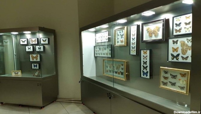 موزه های حیات وحش ایران