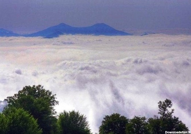 Abr Forest, A Dream of Walking on Clouds Come True - Tourism news ...