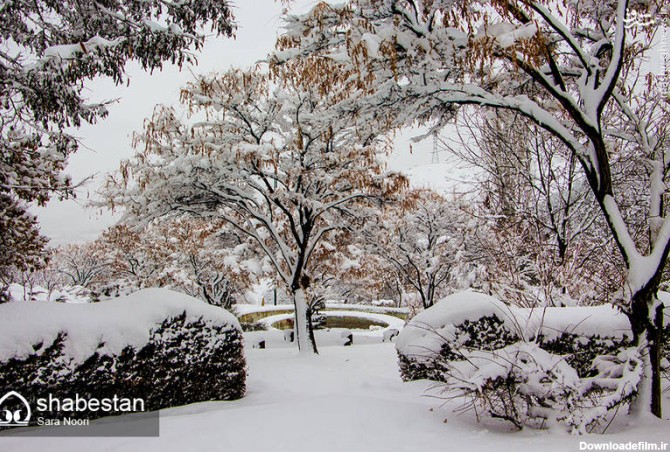 مشرق نیوز - عکس/ طبیعت زیبای زمستانی ارتفاعات کردستان