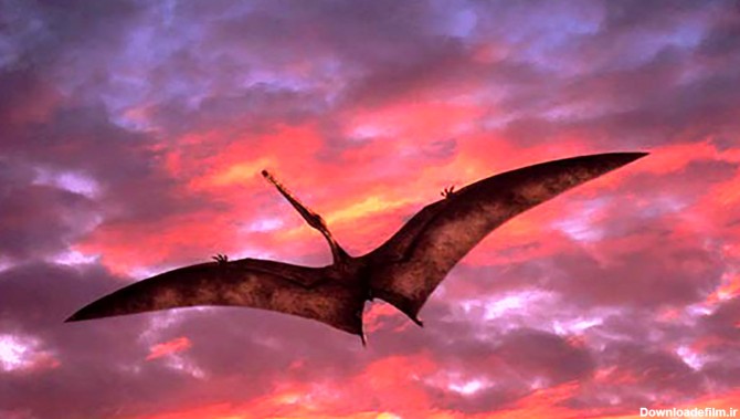 فیلم ترسناک پرواز واقعی یک اژدها در آسمان ! / حتما ببینید