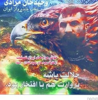 عکس عقاب ایران وحید مرادی - عکس نودی