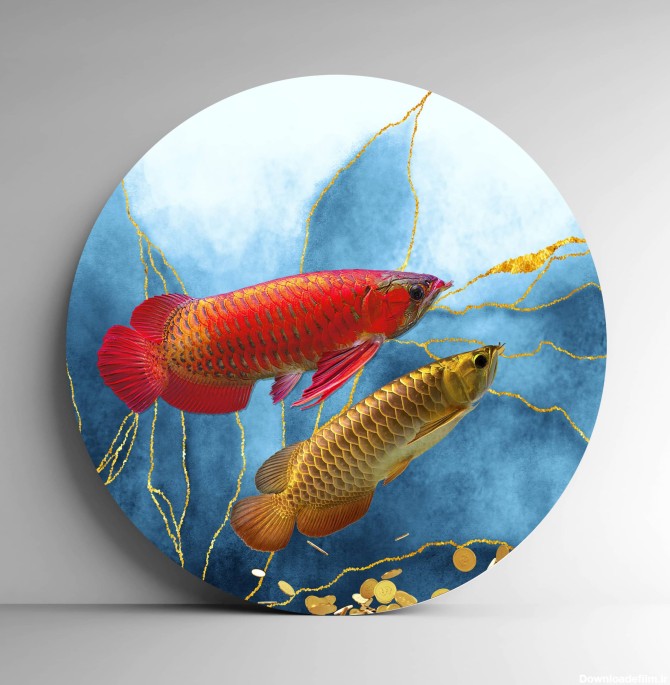 تابلو بوم فنگ شویی آیلاموند - طرح ماهی آروانای قرمز | تابلو ...