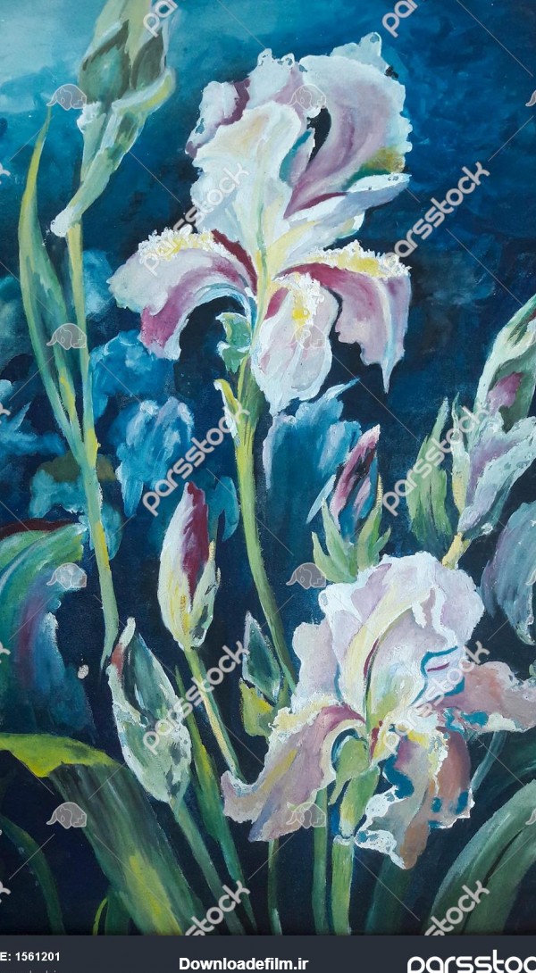 گل زنبق نقاشی مینیاتور و نگارگری اثر سهیلا جاهد 1561201