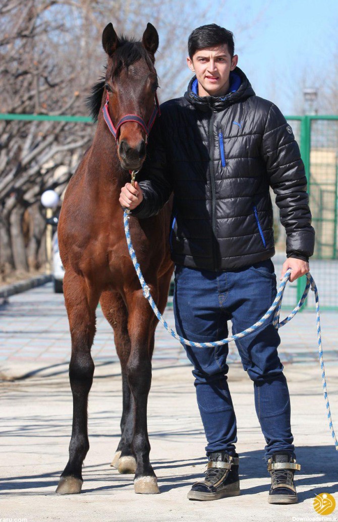 فرارو | (عکس) اسب جدید و میلیاردی سردار آزمون + جزئیات