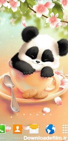 Sleepy Panda Live Wallpaper for Android - Download | Bazaar