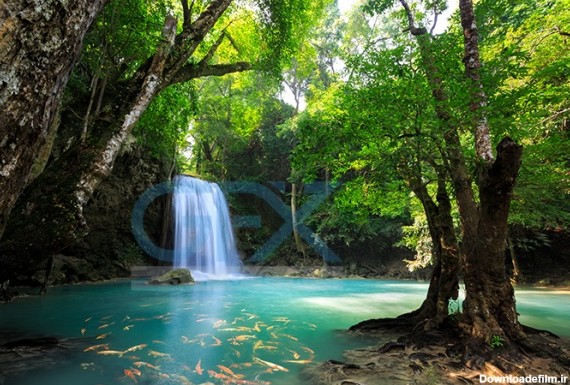 دانلود عکس آبشاری زیبا در میان جنگل های تایلند