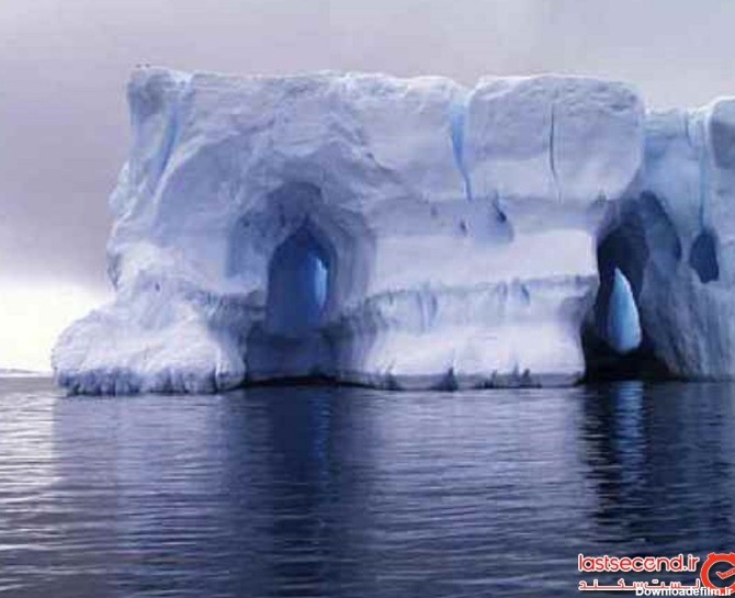 ۱۰ تفاوت عجیب بین قطب شمال و قطب جنوب!​​​​​​​ - خبرآنلاین