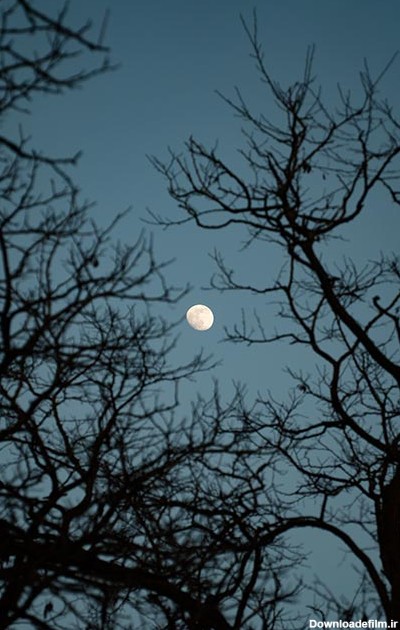 عکس اسمان شب و ماه