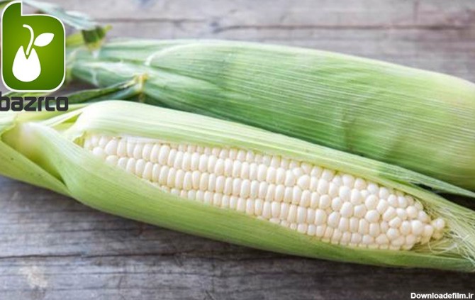 ذرت سفید یا بلال سفید (black corn):  این گونه از ذرت به رنگ سفید با نام white corn لاتین خوانده می شود.در لایه سبز رنگ خود ذرت های سفید نهاده شده دارد.یک ذرت سفید میتواند حدود 400 دانه در حال رشد به صورت طولی تولید کند .ذرت ها سفید مزه ای شیرین و به رنگ سفید مایل به خامه ای است .دانه ها درصد بالای از شکر وآب در ترکیب خ