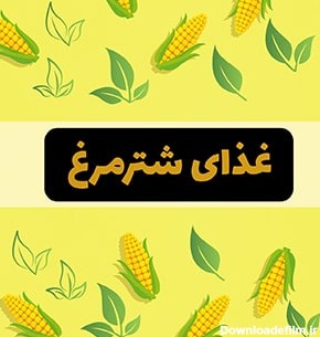 غذای شترمرغ در ایران و سایر نقاط از چه اجزایی تشکیل شده است ...