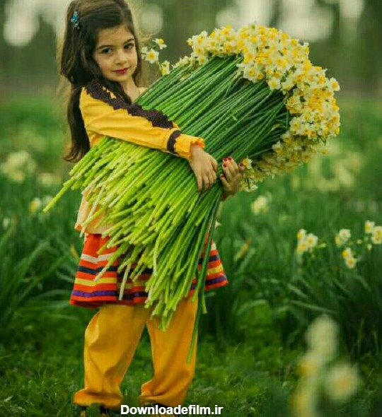 سلام.صبح همگی بخیر. یه دست گل نرگس شیراز تقدیم به همه دوس - عکس ویسگون