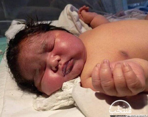 این نوزاد مشهدی سنگین وزن ترین نوزاد متولد شده جهان است؟/ عکس ...